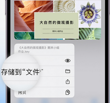 宁安apple维修中心分享iPhone文件应用中存储和找到下载文件