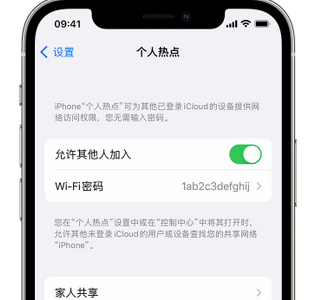 宁安apple服务站点分享iPhone上个人热点丢失了怎么办 