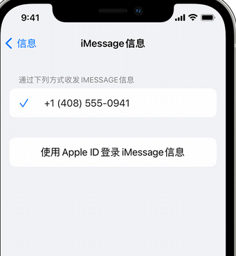 宁安apple维修iPhone上无法正常发送iMessage信息 