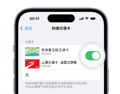 宁安apple维修点分享iPhone上更换Apple Pay快捷交通卡手绘卡面 