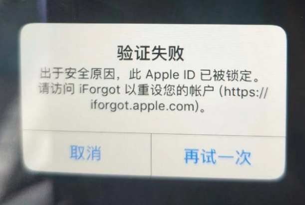 宁安iPhone维修分享iPhone上正常登录或使用AppleID怎么办 