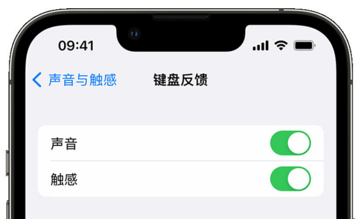 宁安苹果手机维修分享iPhone 14触感键盘使用方法 