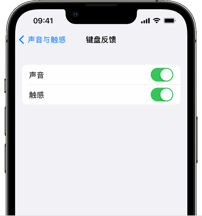 宁安苹果14维修店分享如何在 iPhone 14 机型中使用触感键盘 