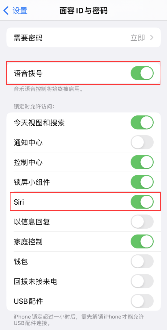 宁安苹果维修网点分享不解锁 iPhone 的情况下通过 Siri 拨打电话的方法 