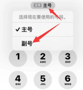 宁安苹果14维修店分享iPhone 14 Pro Max使用副卡打电话的方法 