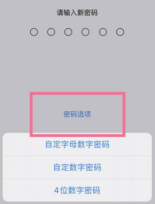 宁安苹果14维修分享iPhone 14plus设置密码的方法 