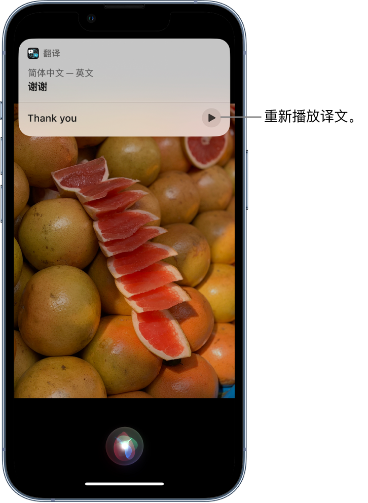 宁安苹果14维修分享 iPhone 14 机型中使用 Siri：了解 Siri 能帮你做什么 