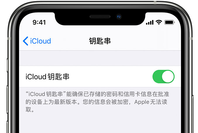 宁安苹果手机维修分享在 iPhone 上开启 iCloud 钥匙串之后会储存哪些信息 