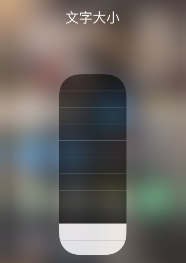 宁安苹果手机维修分享小技巧：在 iPhone 控制中心快速调节字体大小 