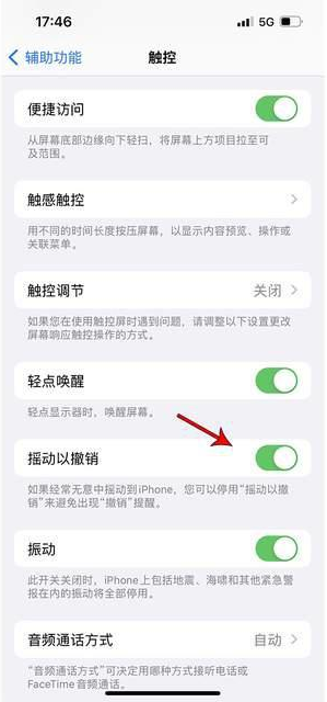 宁安苹果手机维修分享iPhone手机如何设置摇一摇删除文字 