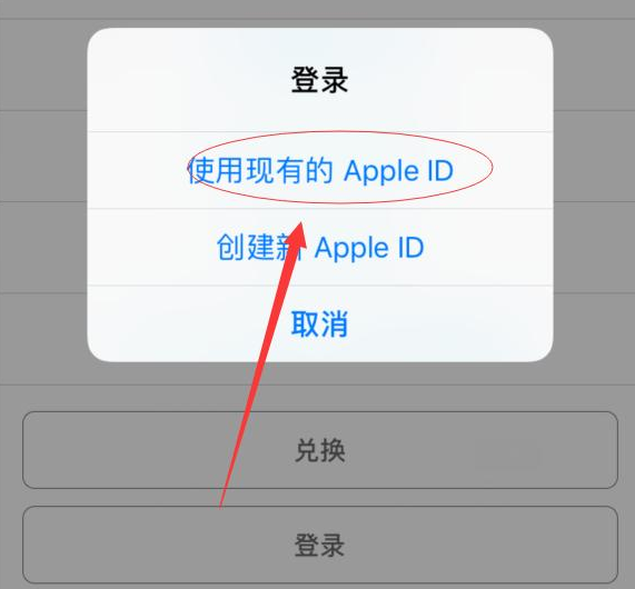 宁安苹果手机维修分享两台iPhone设备可以同时登录一个Apple ID吗 