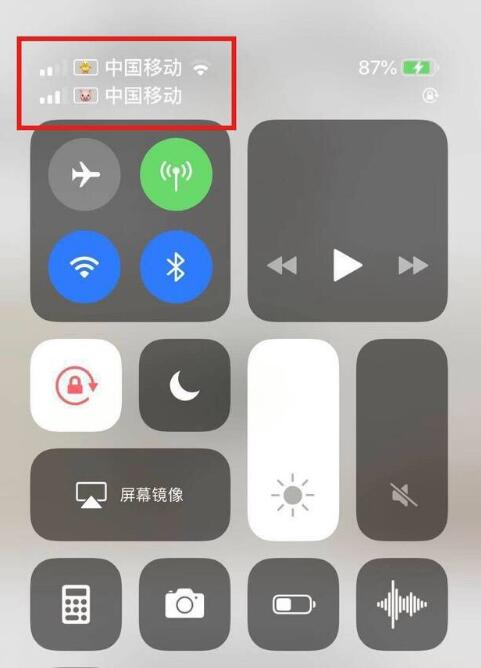 宁安苹果手机维修分享为 iPhone 12 双卡设置标签 