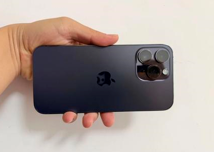 宁安苹果维修点分享iPhone 14 Pro Max黑屏少见故障盘点 